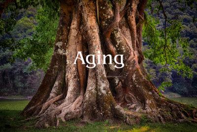 Aging